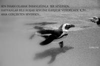 /album/www-m-demircioglu/almanya-108-jpg/